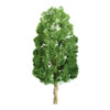 JTT 596107 - Professional Trees: Sycamore 12" - 1pcs    - G Scale