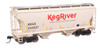 Walthers Mainline 910-49316 - 39' Trinity 3281 2-Bay Covered Hopper Keg River (KEGX) 244197 - HO Scale