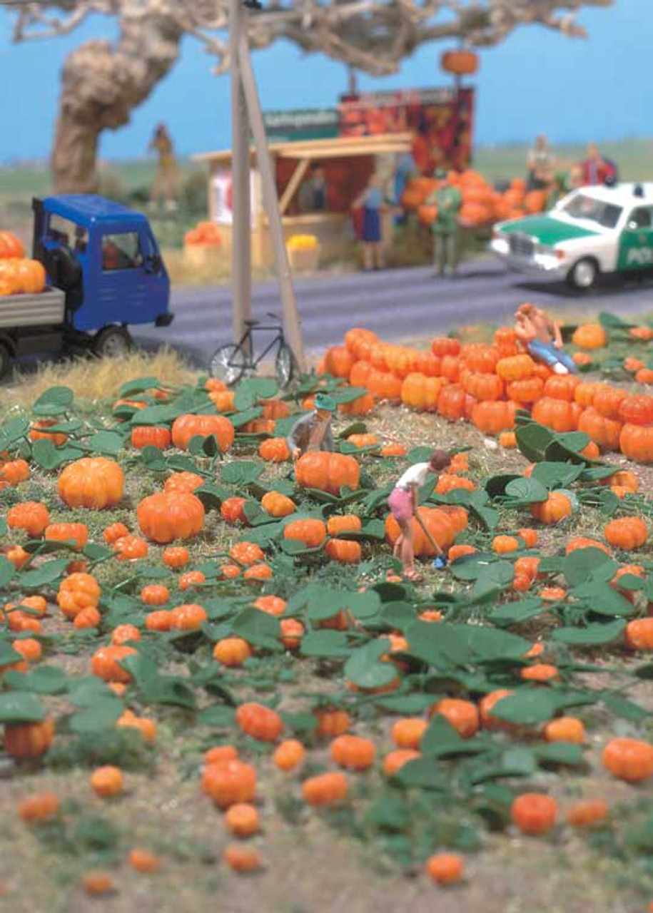 Pumpkinsさん専用 All-in-One Decorative Pumpkin Seed Bank With Storage Box