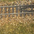 Jackson Railcar N62036 - Bridge Guard Rail Entry Section (8 pck) - N Scale Jackson Railcar N62036 - Bridge Guard Rail Entry Section (8 pck) - N Scale