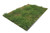 Lars op't Hof 17.29M - Wilde verge summer (8 3/8" x 16 ½" sheet)  - Multi Scale