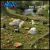 Model Scenery World HO099 - Cat Figure Set - Black & White (8pc)  - HO Scale