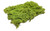 Lars op't Hof 08.12 - Briar Patch - light green (5 7/8" x 8 ¼" sheet) - Multi Scale Lars op't Hof 08.12 - Briar Patch - light green (5 7/8" x 8 ¼" sheet) - Multi Scale
