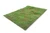 Lars op't Hof 15.52L - Pine forest floor - type 1 (16 ½" x 22 7/8" sheet) - Multi Scale Lars op't Hof 15.52L - Pine forest floor - type 1 (16 ½" x 22 7/8" sheet) - Multi Scale