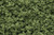 Woodland Scenics #135 - Underbrush - Light Green Woodland Scenics #135 - Underbrush - Light Green