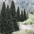 Woodland Scenics 1585 - Ready Made Trees - Evergreen Tree Value Pack (18 Fir Trees) 2-4" - Woodland Scenics 1585 - Ready Made Trees - Evergreen Tree Value Pack (18 Fir Trees) 2-4" -