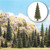 Busch 6476 - Pine Trees with Roots 20pc   -