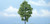 Woodland Scenics TR1623 - Premium Trees™ Hickory Woodland Scenics TR1623 - Premium Trees™ Hickory