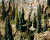 Superior Scenics E6 - 6" Evergreen Trees (3) - Multi Scale Superior Scenics E6 - 6" Evergreen Trees (3) - Multi Scale