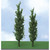 JTT 592318 - Pro-Elite Trees: Poplar 5 - 5.5" - 3pcs - HO Scale JTT 592318 - Pro-Elite Trees: Poplar 5 - 5.5" - 3pcs - HO Scale
