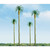 JTT 594237 - Professional Trees: Palm 2.5" - 4pcs    - Multi Scale