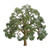 JTT 594349 - Professional Trees: Live Oak 2" - 3pcs - Multi Scale JTT 594349 - Professional Trees: Live Oak 2" - 3pcs - Multi Scale