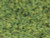JTT 95251 - Turf: Blended Green Fine - Bag - 20cu in - Multi Scale JTT 95251 - Turf: Blended Green Fine - Bag - 20cu in - Multi Scale