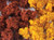 JTT 95270 - Shrubs: Fall Mix - Bag - 30 cu in - Multi Scale