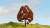 Noch 20150 - Copper Beech Tree - Multi Scale Noch 20150 - Copper Beech Tree - Multi Scale