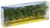 Noch 25096 - Birch Trees - Multi Scale