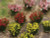 JTT 95642 - Flower Bushes: Warm Color 48/pk - Multi Scale JTT 95642 - Flower Bushes: Warm Color 48/pk - Multi Scale