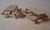 Osborn 1034 - Picnic Tables - HO Scale Osborn 1034 - Picnic Tables - HO Scale