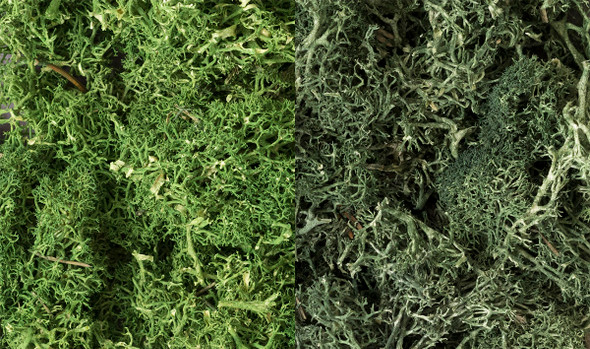 Woodland Scenics L168 - Dark Green Mix Lichen