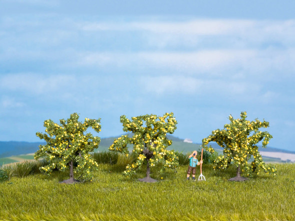 Noch 25115 - Lemon Tree  - Multi Scale