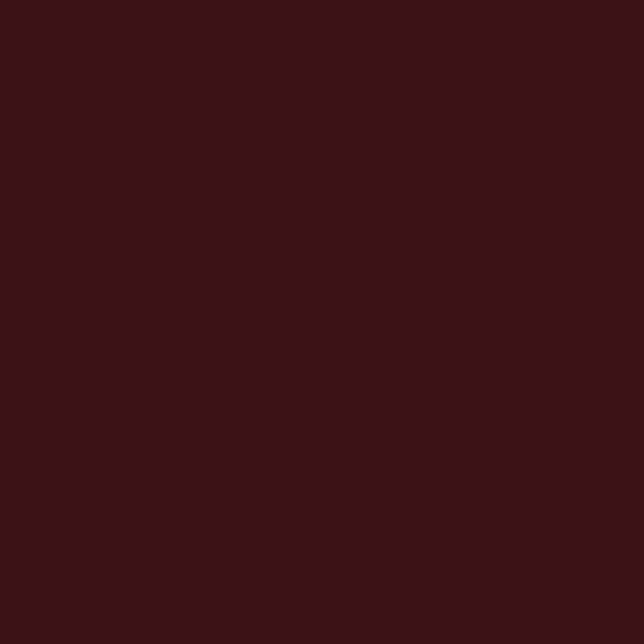 Tru-Color Paint 251 - Acrylic Paint - 1oz/29.6mL - Atchison, Topeka & Santa Fe 1945-Present Freight Car Brown