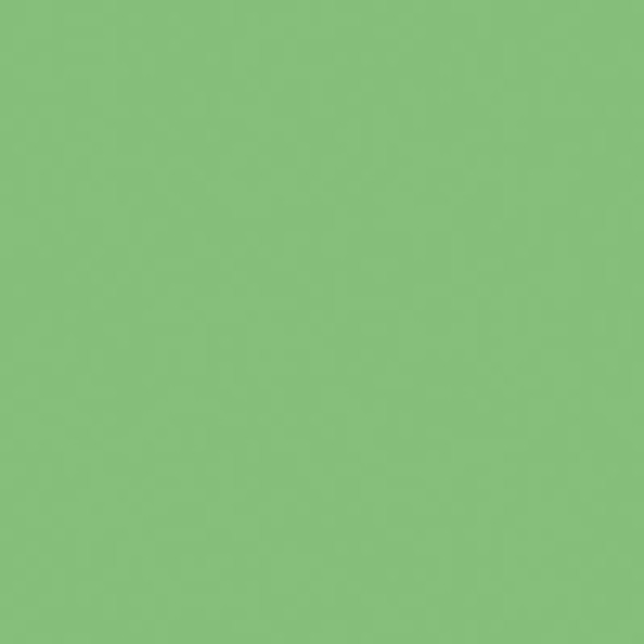 Tru-Color Paint 337 - Acrylic Paint - 1oz/29.6mL - Seaboard Air Line Mint Green