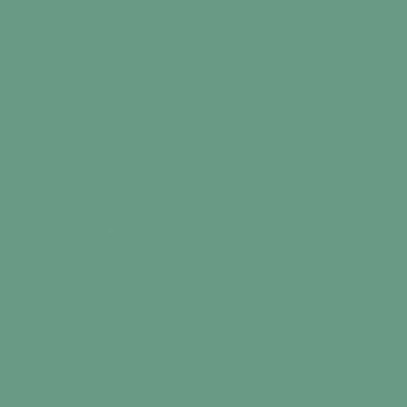 Tru-Color Paint 810 - Flat Brushable Acrylic Paint - 1oz/29.6mL - Light Green