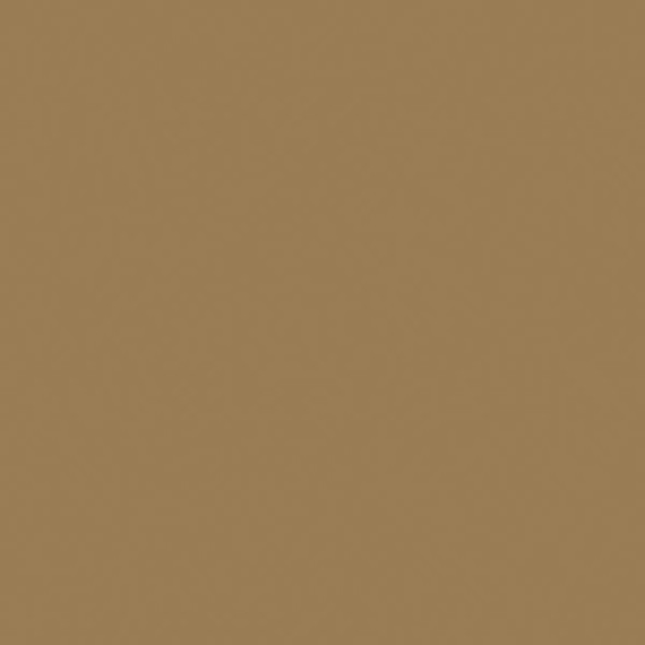 Tru-Color Paint 819 - Flat Brushable Acrylic Paint - 1oz/29.6mL - Dark Tan