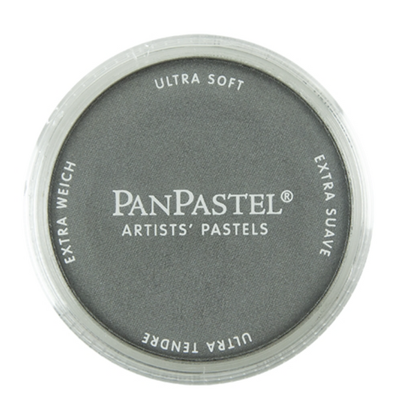 Pan Pastel 29215 - Metallic Pewter