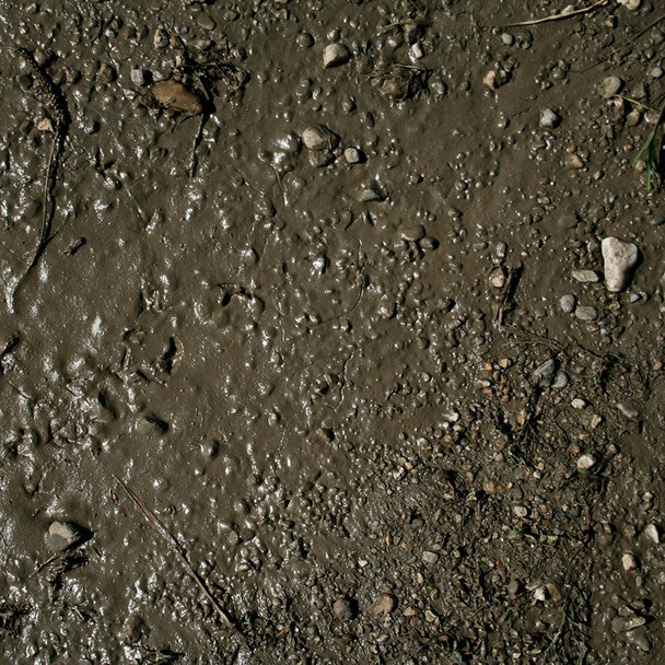 AK Interactive 8016 - Terrains Wet Ground - 250ml (Acrylic)  - Multi Scale