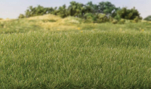Woodland Scenics G6572 - All Game Terrain - Static Grass 5/32" 4mm Tall - Medium Green