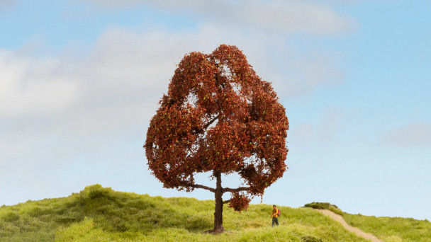 Noch 20150 - Copper Beech Tree - Multi Scale