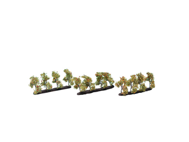Noch 21537 - Plantation Trees with Apples - Multi Scale