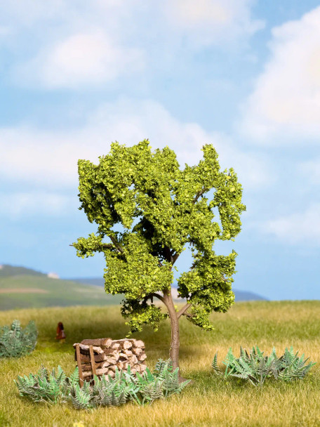 Noch 21600 - Pear Tree - Multi Scale