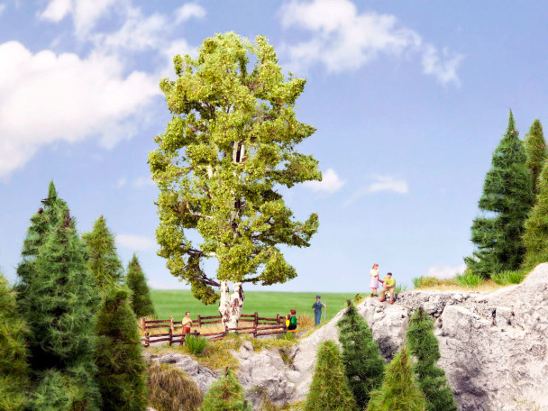 Noch 21641 - Double Trunk Birch Tree - Multi Scale