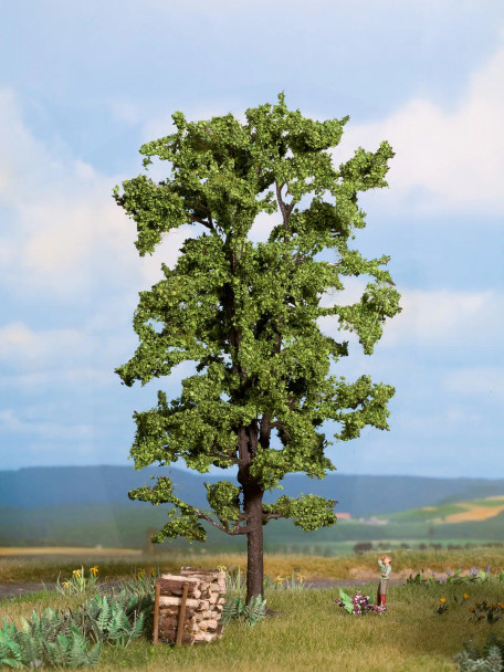 Noch 21780 - Lime Tree - Multi Scale