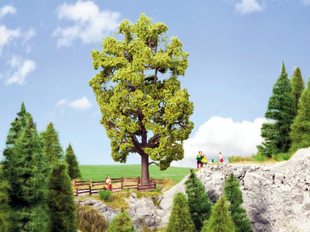 Noch 21781 - Lime Tree - Multi Scale