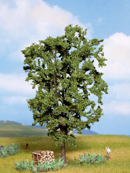 Noch 21800 - Chestnut Tree - Multi Scale