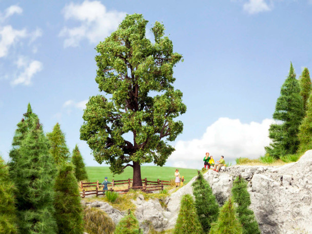 Noch 21802 - Chestnut Tree - Multi Scale