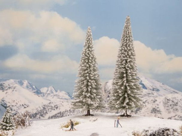 Noch 21966 - Snowy Fir Trees - Multi Scale