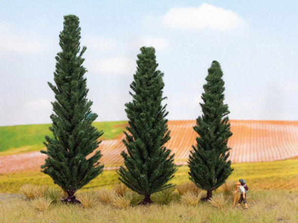 Noch 21998 - Cypress Trees - Multi Scale