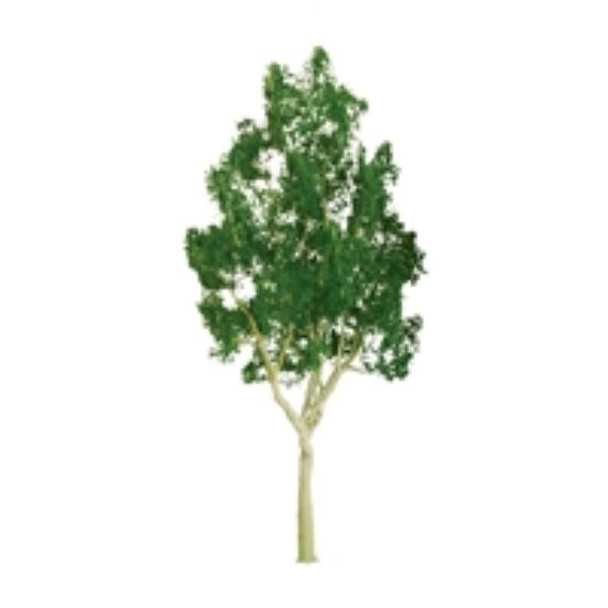 JTT 596030 - Professional Trees: Mountain Gum 6" - 1pcs    - O Scale