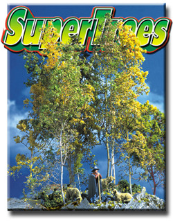 SuperTrees Scenic Express 2パック 9a52e457sex0215__41001.
