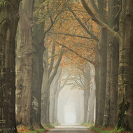 Martin Podt