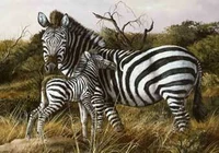 Safari Animals