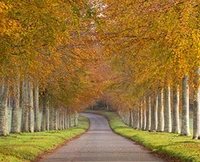 Trails & Paths