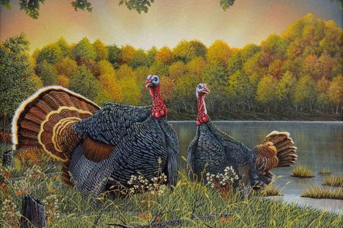 Turkey Season