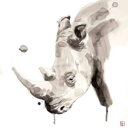Wildlife Rhino