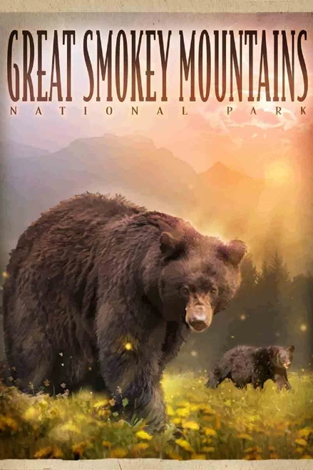 Smokey Mountain Bears