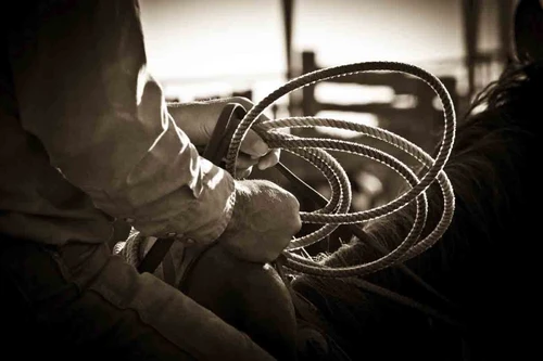 Where would you go with a lasso